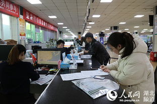 審批時間壓縮60% 武漢臨空港經開區工業建設項目“批前提速”促發展