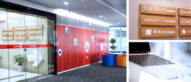 睿創優學與朗迅 品牌策劃設計的武漢力量